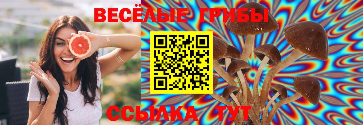 Галлюциногенные грибы Magic Shrooms Сорочинск