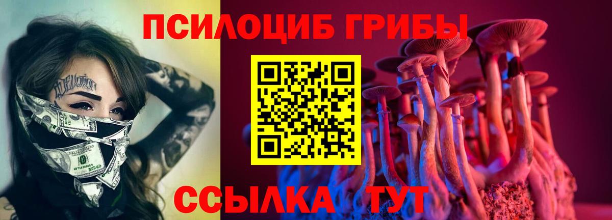 Сорочинск  Галлюциногенные грибы MAGIC MUSHROOMS  Псилоцибиновые грибы мицелий  наркошоп  Вход с VPN 